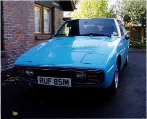 Series 1 bagheera